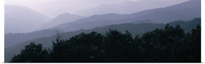 Trees with a mountain range in the background, Blue Ridge Parkway, North Carolina