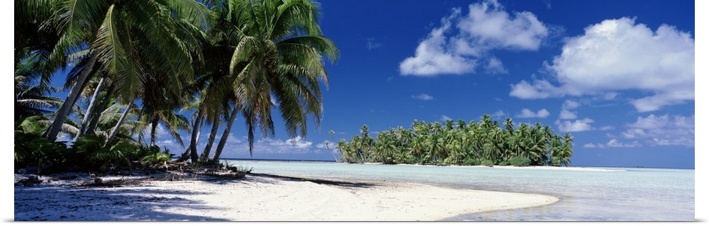 Palm trees leaning over the white sands and shallow water of the tropical South Pacific island on a perfect sunny day.