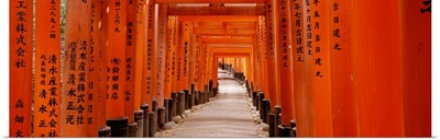 Tunnel of Torii Gates Fushimi Inari Shrine Kyoto Japan