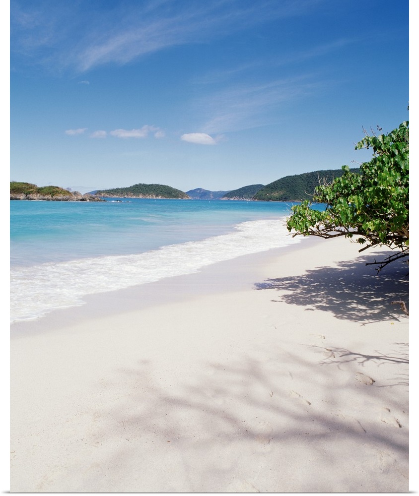 This decorative accent is a vertical photograph of the tropical sky and sandy beach.