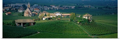 Vineyard Adige Valley Trentino-Alto-Adige Italy