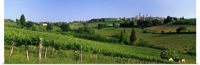 Vineyards and Medieval Town of San Gimignano Tuscany Italy