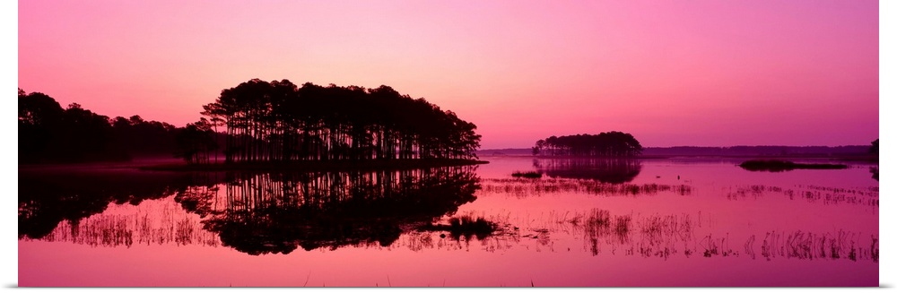 Virginia, Chincoteague National Wildlife Refuge, Panoramic view of the national forest during sunset