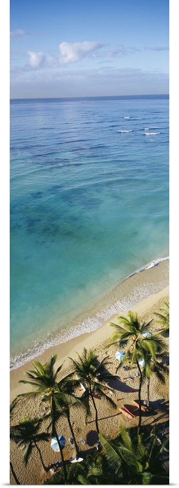 A narrow vertical canvas of the clear water off the coast of Hawaii with palm trees shown in the bottom with waves crashin...