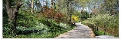Walkway in a park, Central Park, Manhattan, New York City, New York State