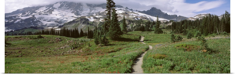 Washington, Mt. Rainier, Mt. Rainier National Park, Mazama Ridge, path