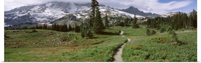 Washington, Mt. Rainier, Mt. Rainier National Park, Mazama Ridge, path