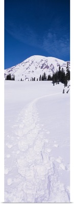 Washington, Snowshoe Tracks on Mt Rainier
