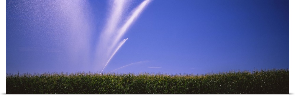 Water being sprayed on a corn field, Washington State