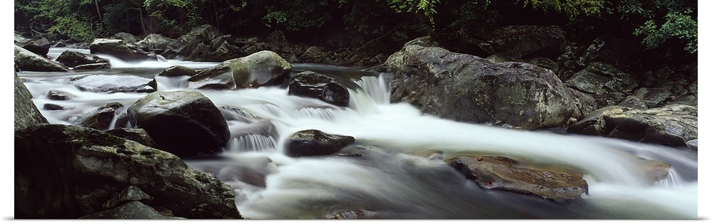 Little River, Great Smoky Mountains National Park, Tennessee, USA