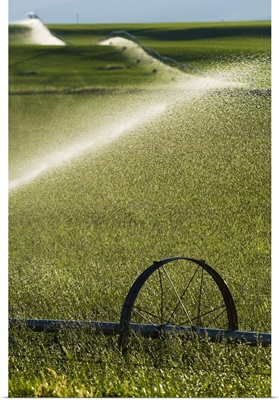 Water spraying from irrigation sprinklers on green farmland hills, selective focus close up, Montana