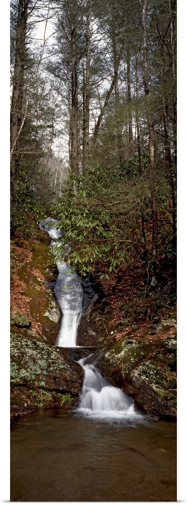 Waterfall in a forest, Appalachian Mountains, North Carolina,