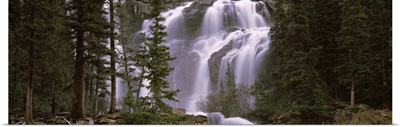 Waterfall in a forest, Banff, Alberta, Canada