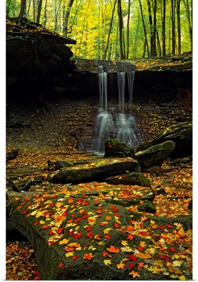 Waterfall in a forest, Blue Hen Falls, Cuyahoga Valley National Park, Ohio