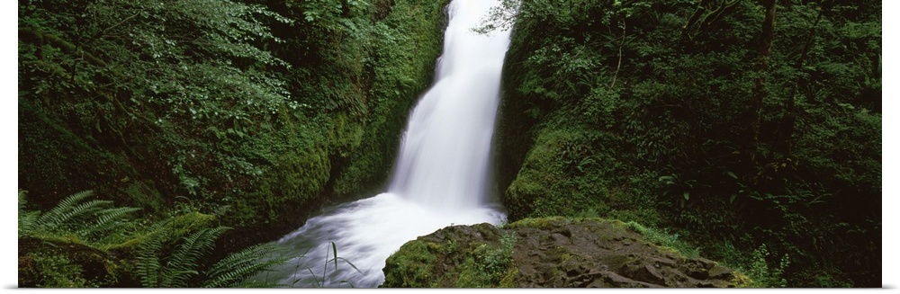 Waterfall in a forest Bridal Veil Falls Oregon Columbia Gorge National Scenic Area Columbia River Gorge Oregon