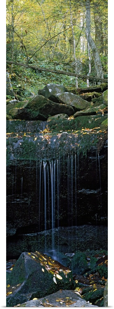 This wall art is a vertical, panoramic photograph of water trickling down a rock shelf in an Appalachian forest.