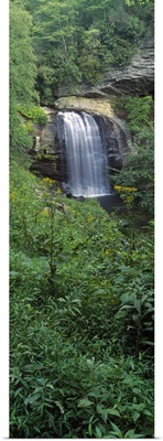 Waterfall in a forest, Looking Glass Falls