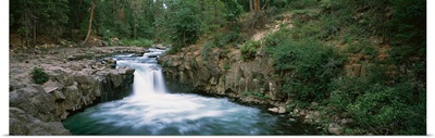 Waterfall in a forest, McCloud Falls, Lower Falls, Mt Shasta, California,