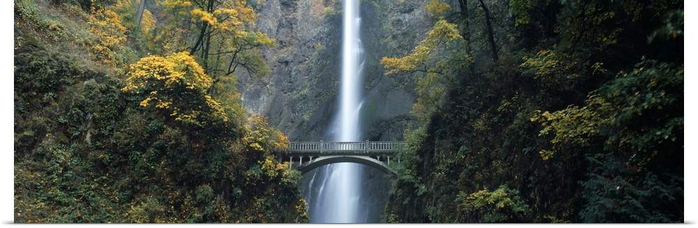 Waterfall in a forest Multnomah Falls Columbia River Gorge Multnomah County Oregon