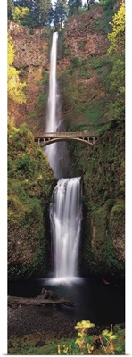 Waterfall in a forest, Multnomah Falls, Columbia River Gorge, Multnomah County, Oregon