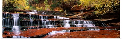 Waterfall in a forest, North Creek, Zion National Park, Utah