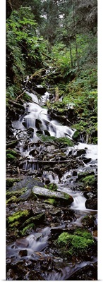 Waterfall in a forest, Seward, Kenai Peninsula Borough, Alaska