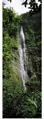 Waterfall in a forest, Waimoku Falls, Haleakala National Park, Maui, Hawaii