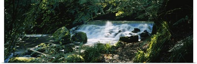 Waterfall in the forest, Birks O Aberfeldy, Perthshire, Scotland