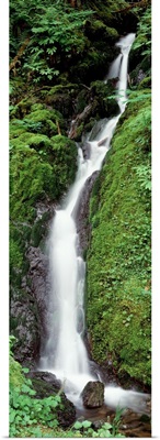 Waterfall Olympic National Park WA