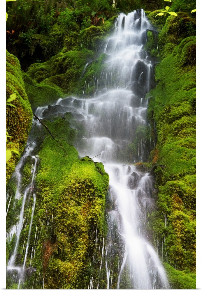 Vertical canvas photo print of a large waterfall with water rushing through mossy rocks along the cliffs.