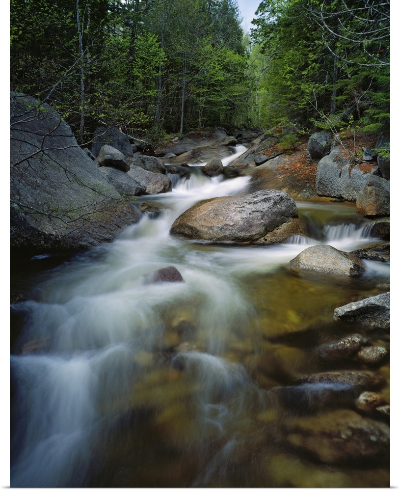 Tall photo on canvas of water rushing through rocks in a stream running through a forest.