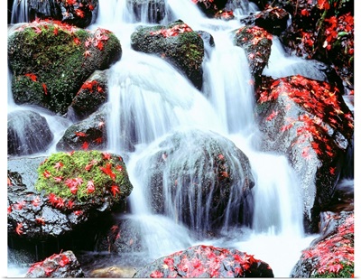 Waterfalls Kyoto Japan