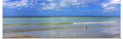 Waves on the beach, Crescent Beach, Gulf Of Mexico, Siesta Key, Florida