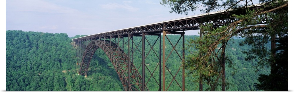 Panoramic photograph of a dense forest of trees surrounding the base of New River Gorge Bridge in West Virginia.