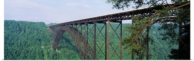 West Virginia, Route 19, Trees around New River Gorge Bridge