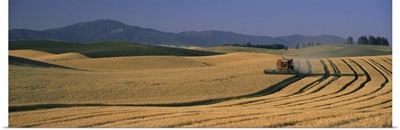 Wheat Fields Palouse Country WA