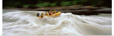 White Water Rafting Snake River Jackson Hole WY