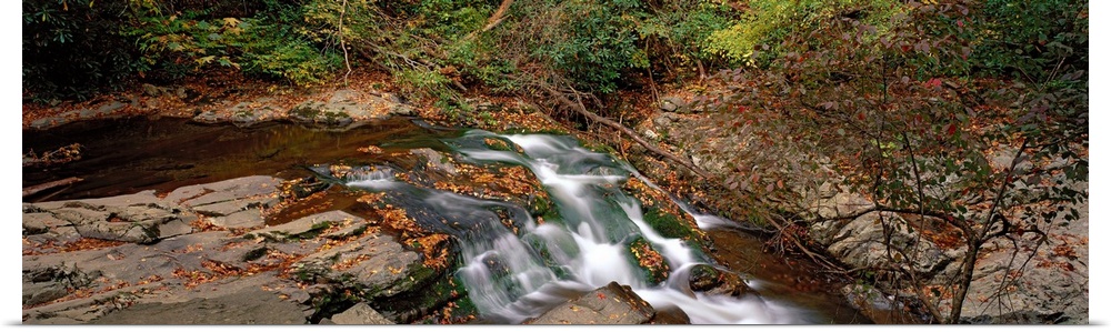 White Water The Great Smoky Mountains TN
