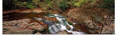 White Water The Great Smoky Mountains TN