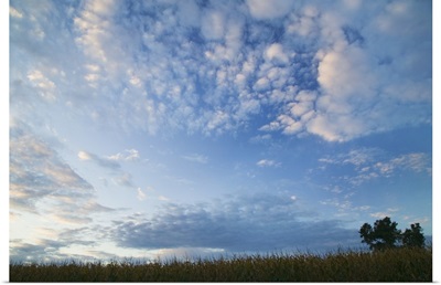 Wide angle view of clouds over silhouetted field, Iowa