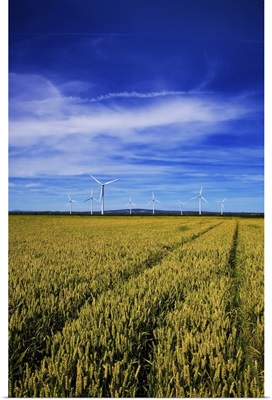 Windfarm Beyond Wheat Field, Bridgetown, County Wexford, Ireland