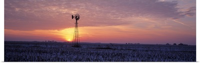 Windmill Cornfield Edgar County IL