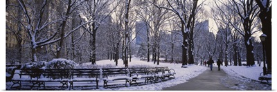 Winter Central Park NY