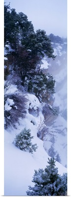 Winter Snow Storm Grand Canyon Rim AZ