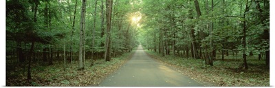 Wisconsin, Door County, Road running through a forest