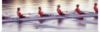 Women rowing boat