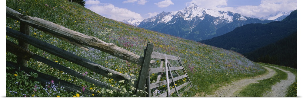 Wooden fence in a field, Tirol, Austria