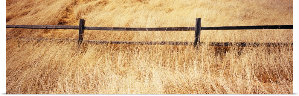 Wooden fence in the dry grass, Mt Tamalpais, Marin County, California