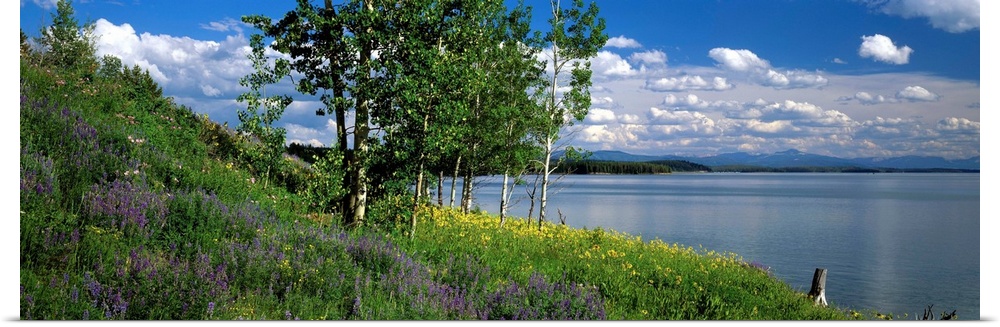 Wyoming, Grand Teton Park, Jackson Lake
