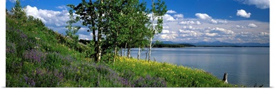 Wyoming, Grand Teton Park, Jackson Lake
